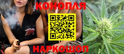 стаф Лесосибирск