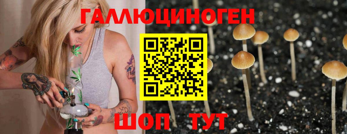 Псилоцибиновые грибы Psilocybine cubensis  сколько стоит  Джанкой  Вход с VPN 